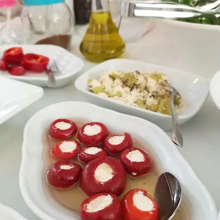 住宿加早餐酒店 坎迪拉布迪克酒店 4*